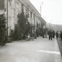 Gita alla Vittoria. Stazione di Busalla (taglio)