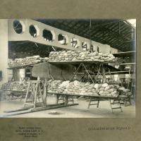 Collaudo velivoli nei Cantieri aeronautici Ansaldo n. 1 di Borzoli (mare)