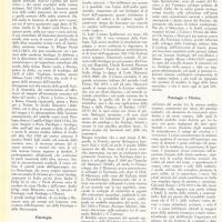 L'Ottocento scientifico - di G. Sermonti e G. Gualandi - ottobre 1961, anno IX, n. straordinario, p. 18