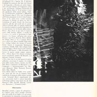 L'Ottocento scientifico - di G. Sermonti e G. Gualandi - ottobre 1961, anno IX, n. straordinario, p. 11