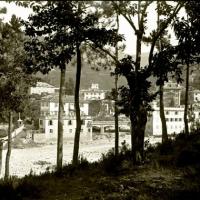 Pineta di Serino. Veduta dalla Doria (taglio)