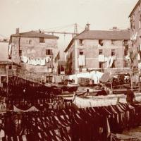Foce. Reti distese (taglio)