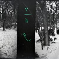 Piazza Corvetto sotto gli alberi (originale)