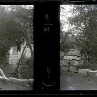 Si direbbe che Zar non abbia soltanto paura dei fucili ma anche dei fotografi (originale)