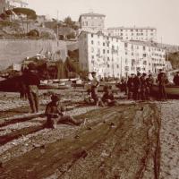 Foce. Raddobbo delle reti (taglio)