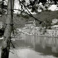 Portofino - dal Castello Brown (taglio)