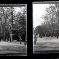 Venezia. Giardini pubblici (originale)