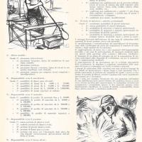Valutazione delle mansioni di lavoro e dei meriti personali, di Gianfranco Magnaghi, settembre - ottobre 1958, anno VI, n. 5, p. 6
