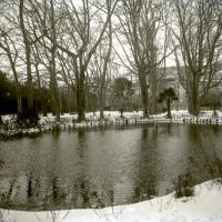 Acquasola (vasca). Nevicata (taglio)