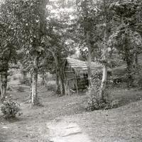 Cascina di Campopiano (taglio)