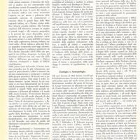 L'Ottocento scientifico - di G. Sermonti e G. Gualandi - ottobre 1961, anno IX, n. straordinario, p. 16