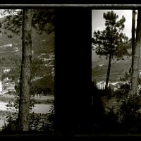 Pineta di Serino. Ligurna (originale)