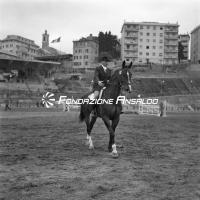 Genova - concorso ippico