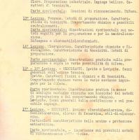 Programma del corso - 3