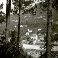 Pineta di Serino. Ligurna (taglio)
