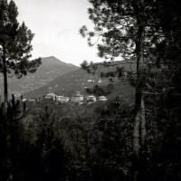 Serino. Vista dalla pineta (taglio)