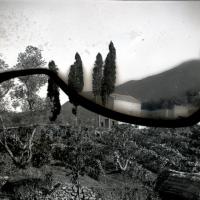 Serino (taglio)