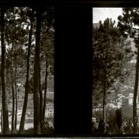 Pineta di Serino. San Siro di Struppa (originale)