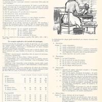 Valutazione delle mansioni di lavoro e dei meriti personali, di Gianfranco Magnaghi, settembre - ottobre 1958, anno VI, n. 5, p. 5