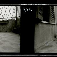 Il cane Tom  legato (originale)