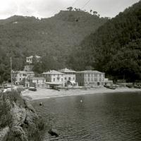 Porticciolo di Paraggi (taglio)