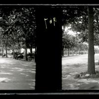 Corso Torino. I viali (originale)