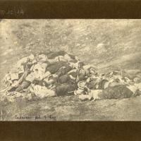 Cadaveri del 7° Reggimento