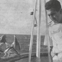 Colloquio a base di sguardi, a bordo della "Andrea C" in navigazione