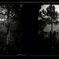 Serino. Vista dalla pineta (originale)