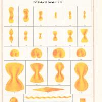 Macchinario per pastifici - formati di pasta