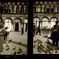 I piccioni (originale)