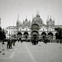 Piazza San Marco (taglio)
