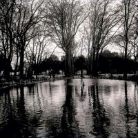 Acquasola in inverno. Vasca e viale laterale (taglio)