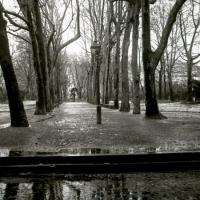 Acquasola in inverno con pioggia (taglio)