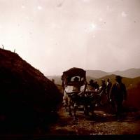 Gita a N. S. della Guardia. Carro con buoi (taglio)