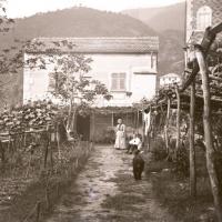 Casa nostra a Serino (taglio)
