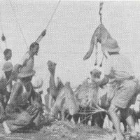 La "Giacomo C." nel 1935 venne adibita al trasporto di materiale per la guerra etiopica