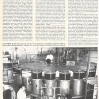 Sviluppi della fisica nucleare dei processi di fusione, di Giorgio Cortellessa, maggio - agosto 1958, anno VI, nn. 3-4, p. 4