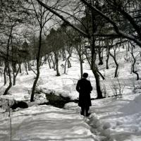 Una gita ai piani di Creto - Solitario! (taglio)