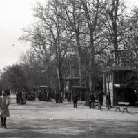 Venezia. Giardini pubblici (taglio)
