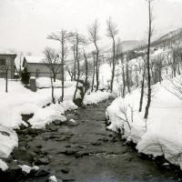 Case lungo il torrente Lemme (taglio)