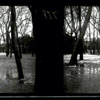 Acquasola in inverno. Campanile di Santa Caterina (originale)