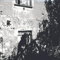 Cavallo del Scio (taglio)
