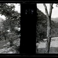 Gita a Montoggio. Veduta tra gli alberi (originale)