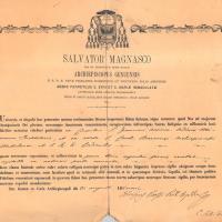 Documento inerente l'esposizione delle ceneri di San Francesco e la veste di San Carlo Borromeo