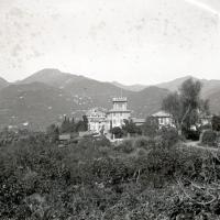 Serino (taglio)