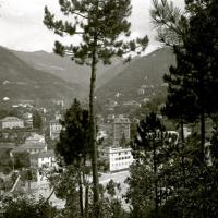 Pineta di Serino. La Doria e Creto (taglio)