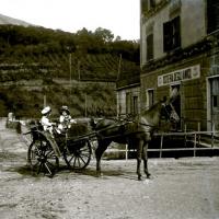 Miro e Nanny sul calessino (taglio)