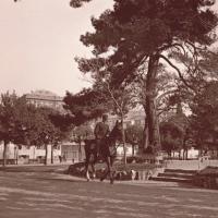 Acquasola (taglio)