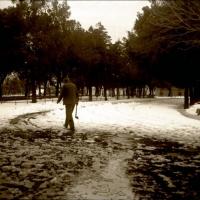 Acquasola. Nevicata (taglio)